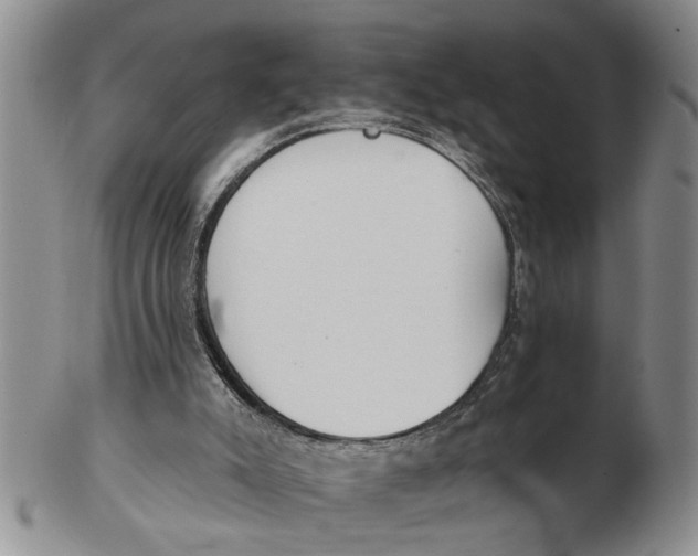 X0000102350007200808221704