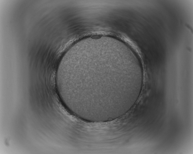 X0000102350009200808221704