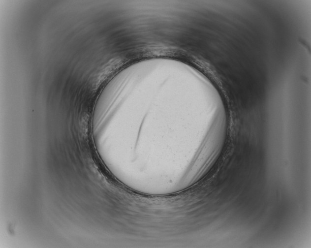 X0000102350010200808221704