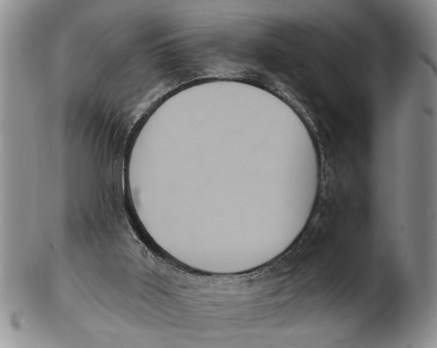 X0000102350011200808221704