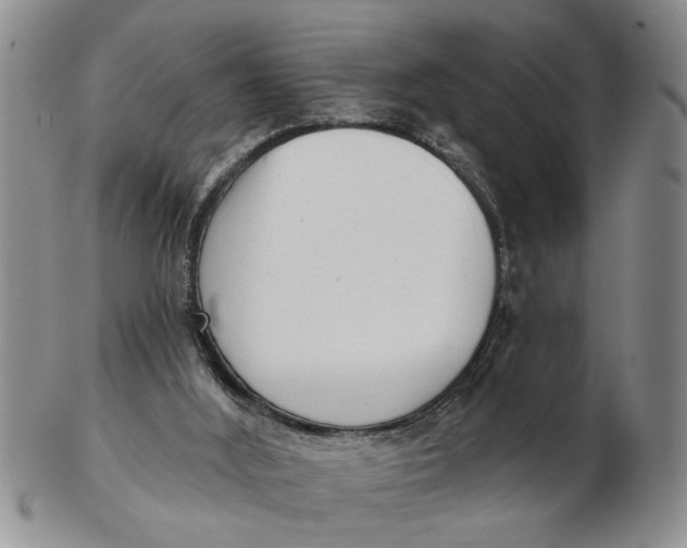 X0000102350012200808221704
