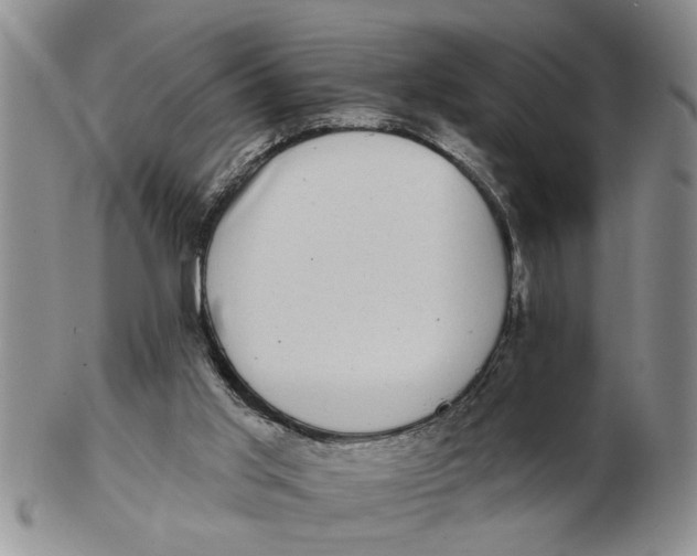 X0000102350013200808221704