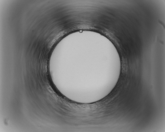 X0000102350015200808221704