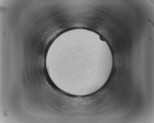 X0000102350016200808221704