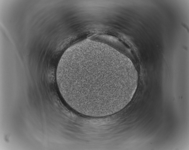 X0000102350017200808221704