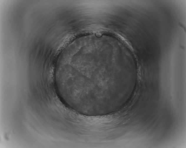 X0000102350018200808221704