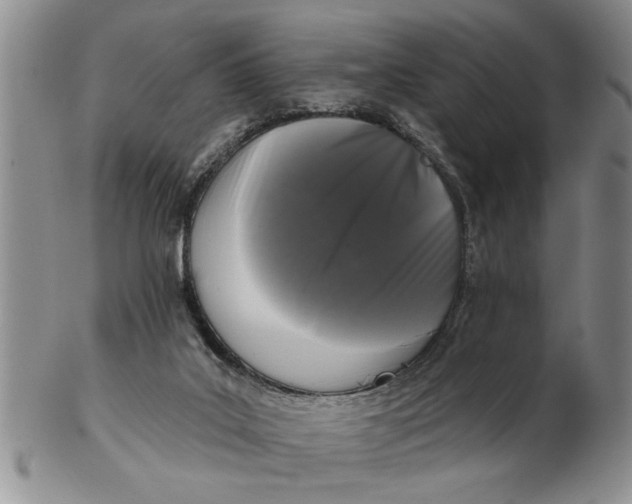X0000102350019200808221704