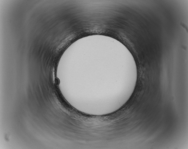 X0000102350020200808221704