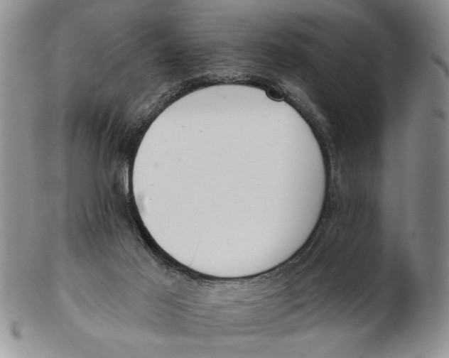 X0000102350021200808221704