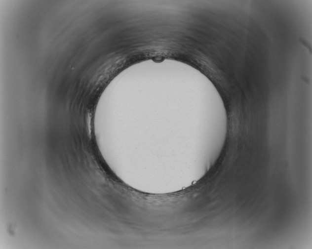 X0000102350022200808221704