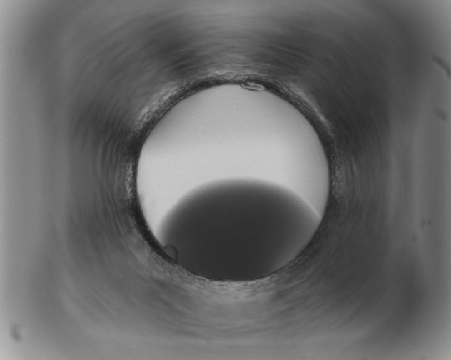 X0000102350023200808221704