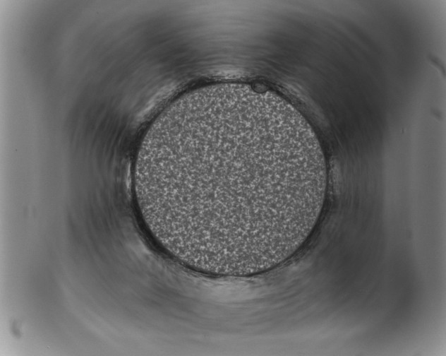 X0000102350024200808221704