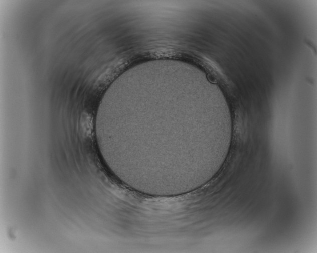 X0000102350025200808221703