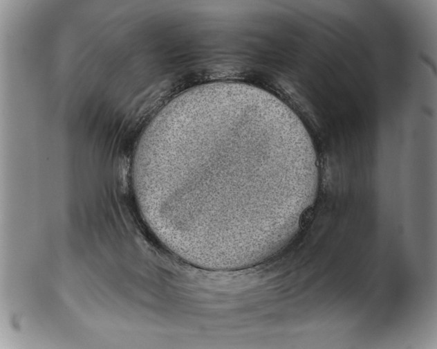 X0000102350026200808221703