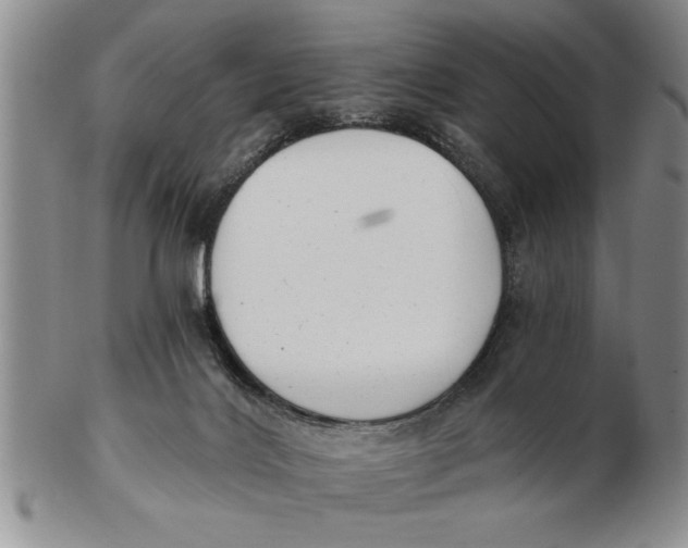X0000102350028200808221703