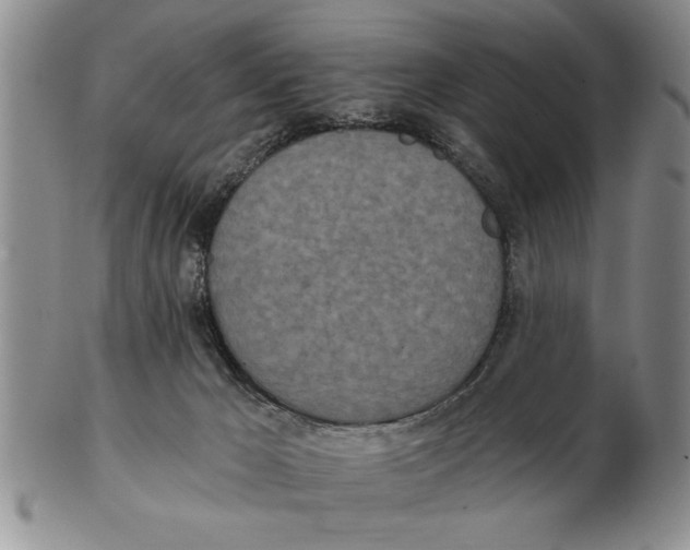 X0000102350029200808221703