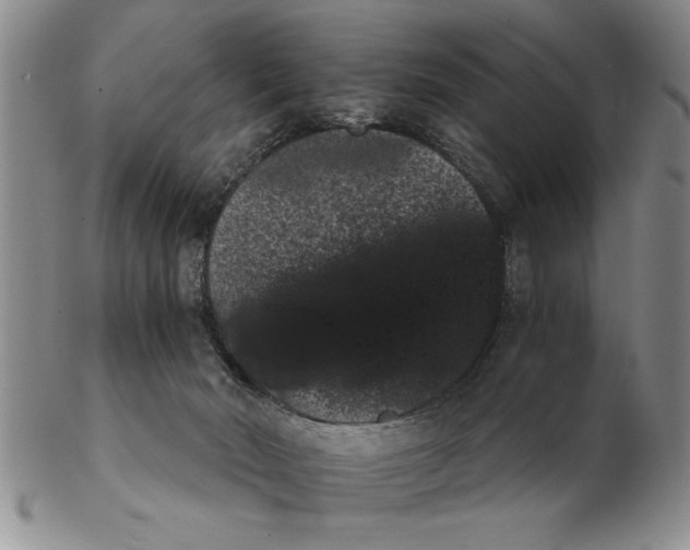 X0000102350030200808221703