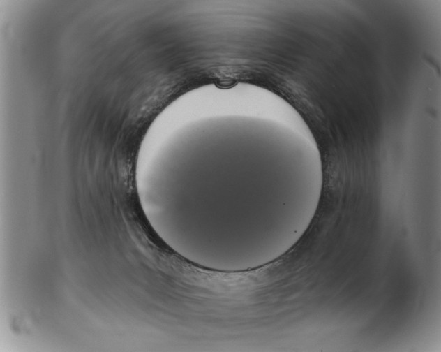X0000102350031200808221703