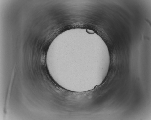 X0000102350033200808221703