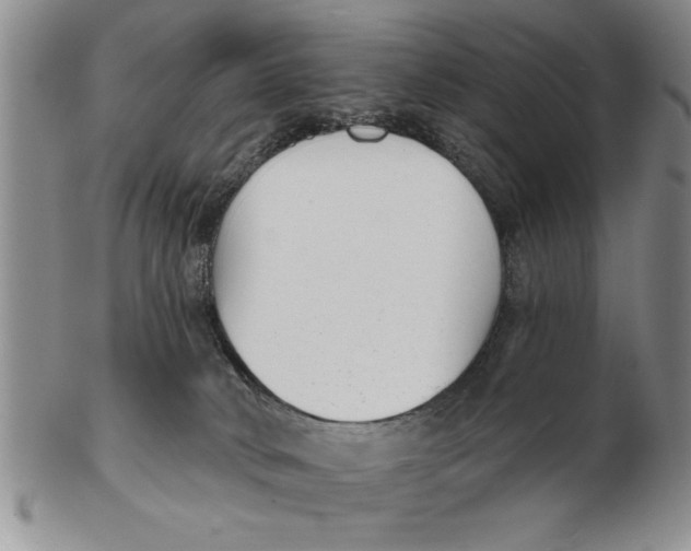 X0000102350034200808221703