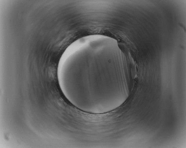 X0000102350035200808221703