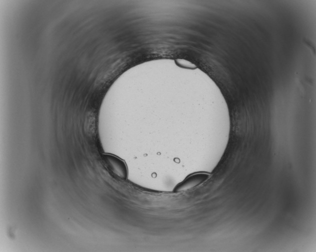 X0000102350036200808221703