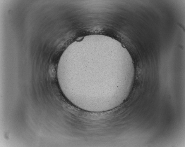 X0000102350037200808221703