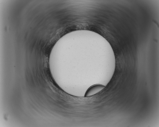 X0000102350038200808221703