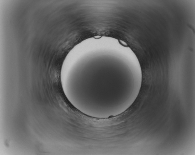 X0000102350039200808221703