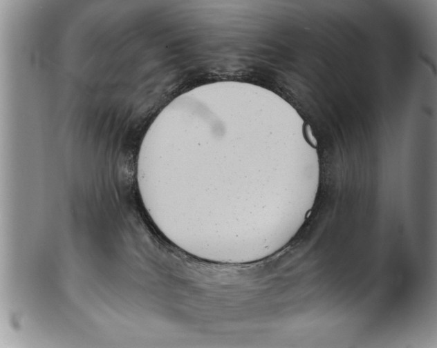 X0000102350040200808221703