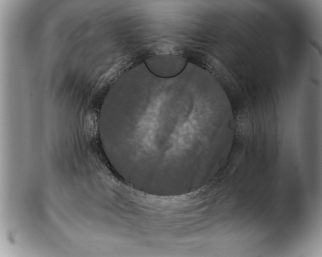 X0000102350043200808221703