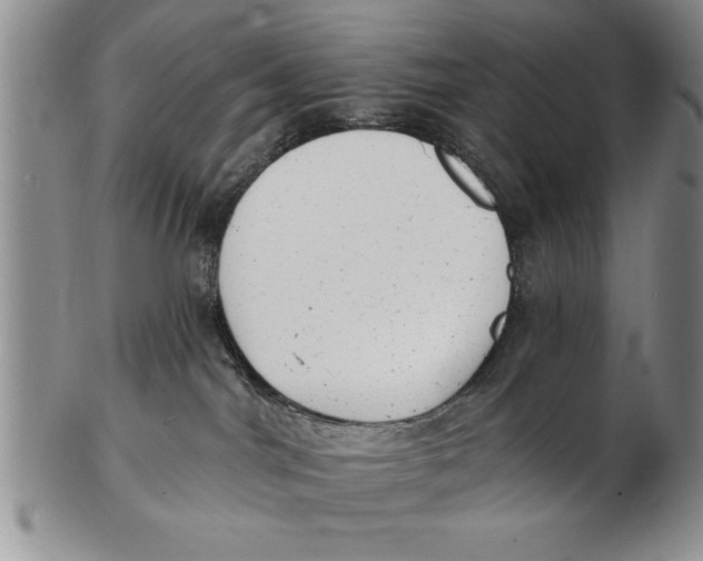X0000102350044200808221703