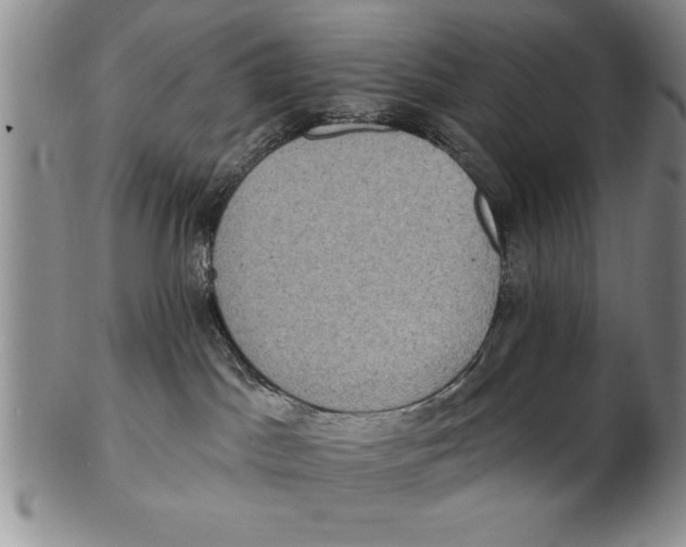 X0000102350045200808221703