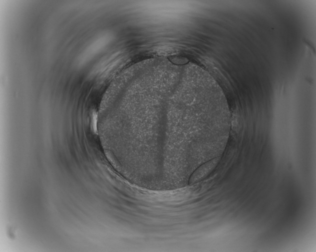 X0000102350046200808221703