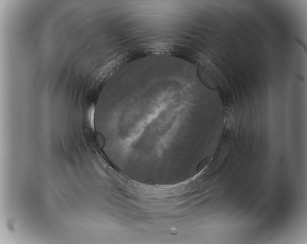 X0000102350047200808221703
