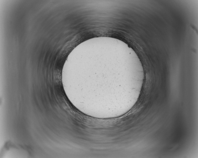 X0000102350048200808221703