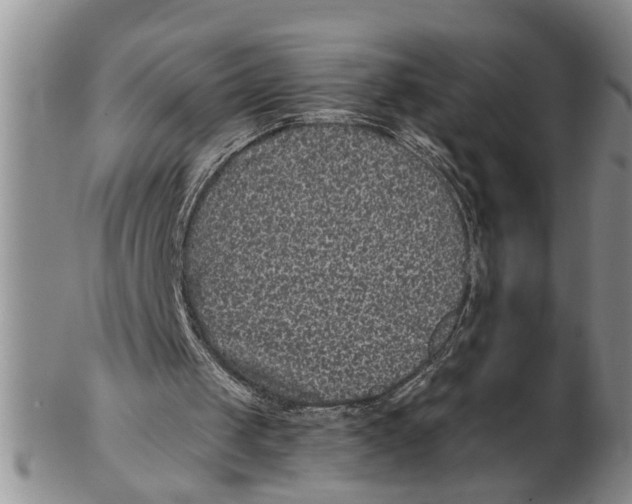 X0000102350049200808221703
