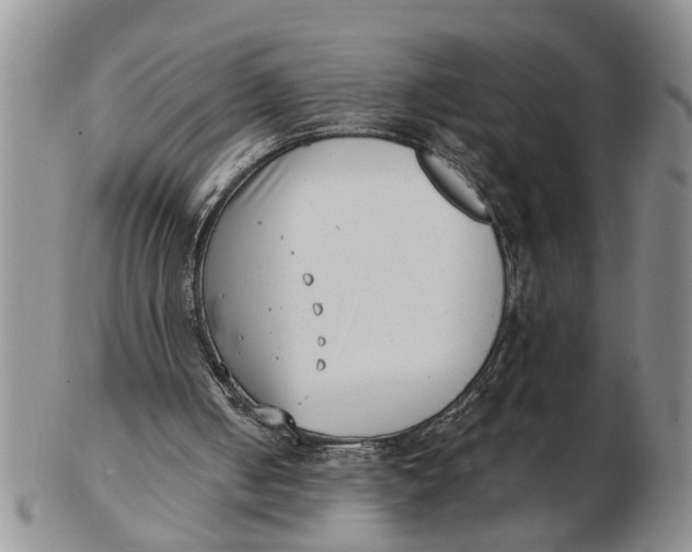 X0000102350050200808221703