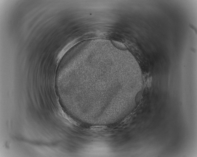 X0000102350051200808221703