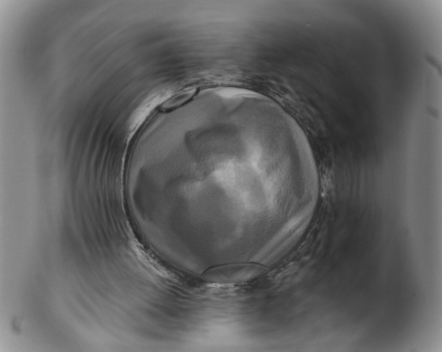 X0000102350052200808221703