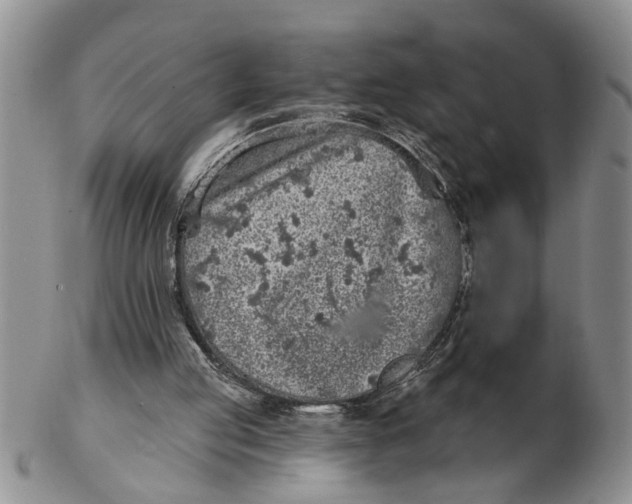 X0000102350053200808221703