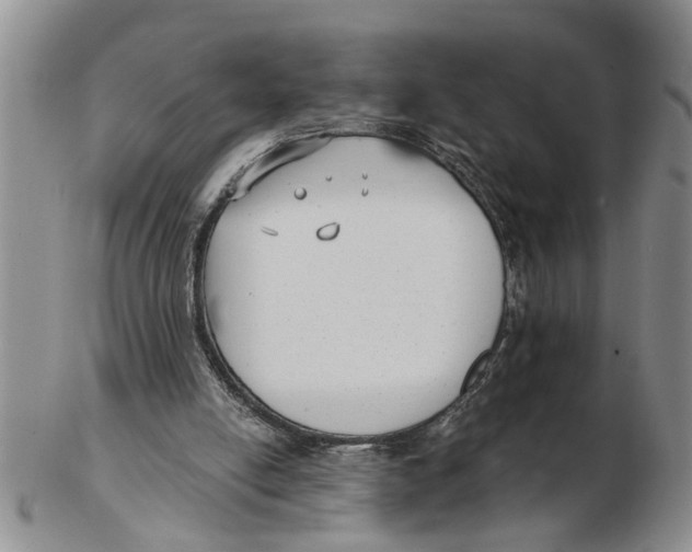 X0000102350054200808221703