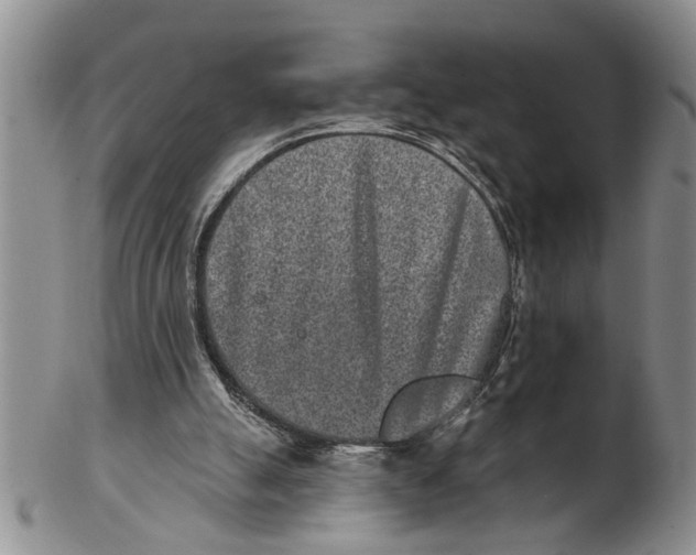 X0000102350055200808221703