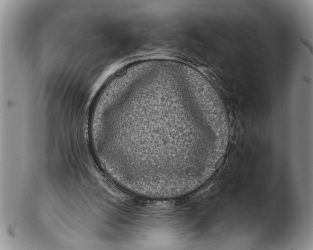 X0000102350056200808221703