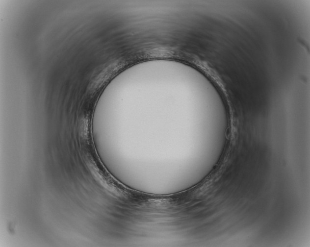 X0000102350057200808221703