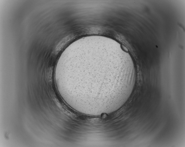 X0000102350058200808221703