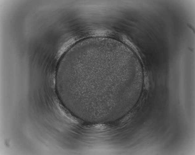 X0000102350059200808221703