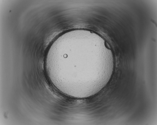 X0000102350060200808221703