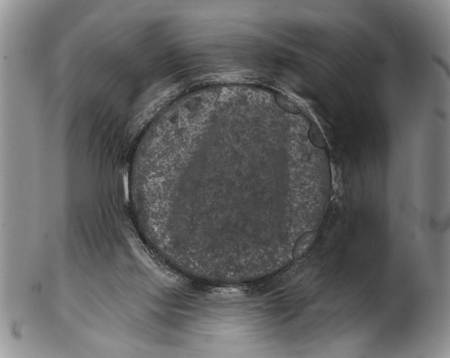 X0000102350061200808221703