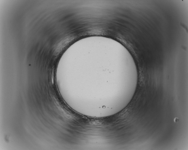 X0000102350062200808221703